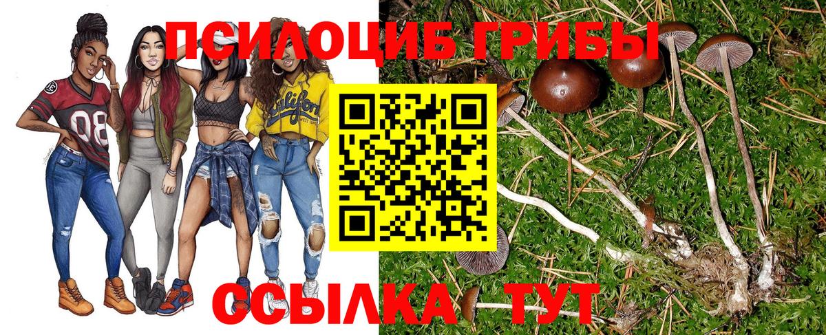 Барабинск  Псилоцибиновые грибы ЛСД  Вход с VPN  Галлюциногенные грибы Psilocybine cubensis 